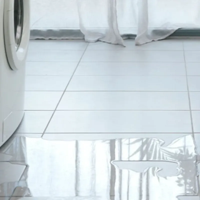 Appliance Leak Cleanup in Blanchard, LA