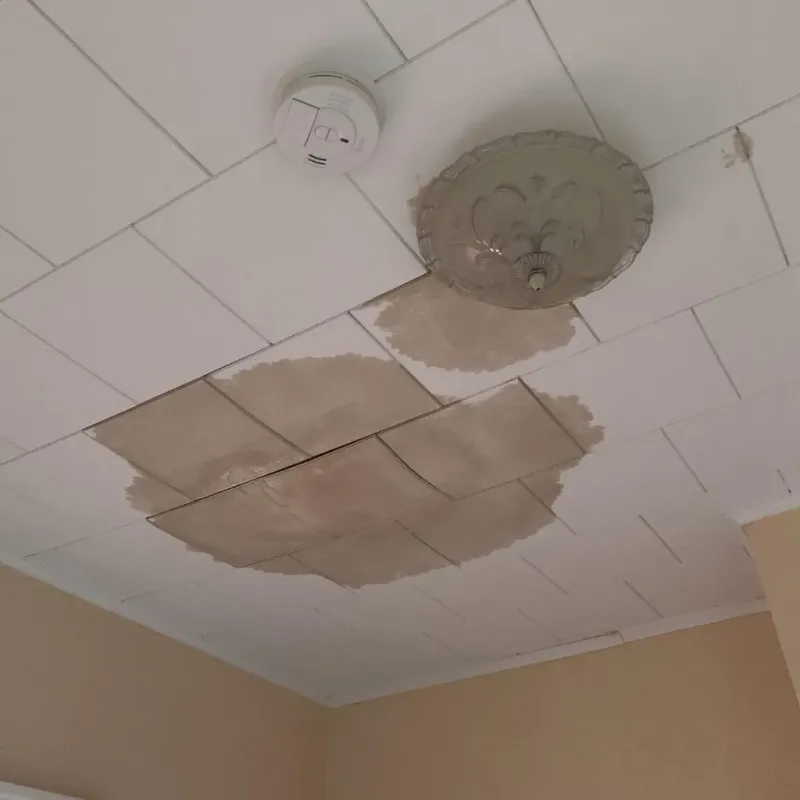 Ceiling Water Damage Repair in Blanchard, LA